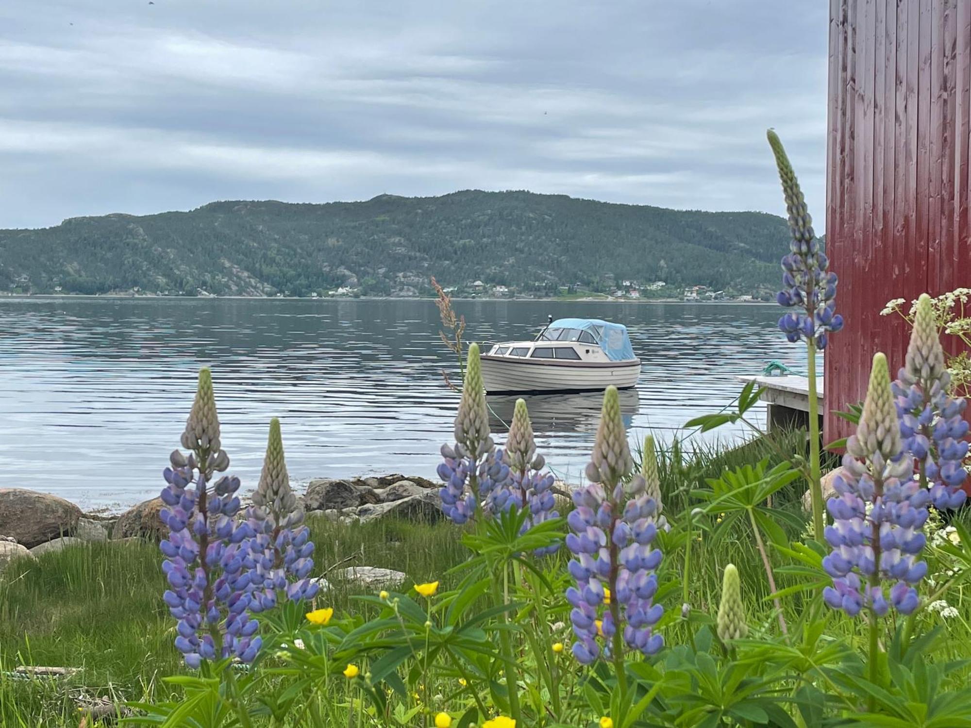 Stille Og Landlig, Men Sentrumsnaer Leilighet Apartman Namsos Kültér fotó